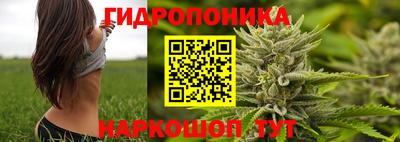 гашик Мариинск