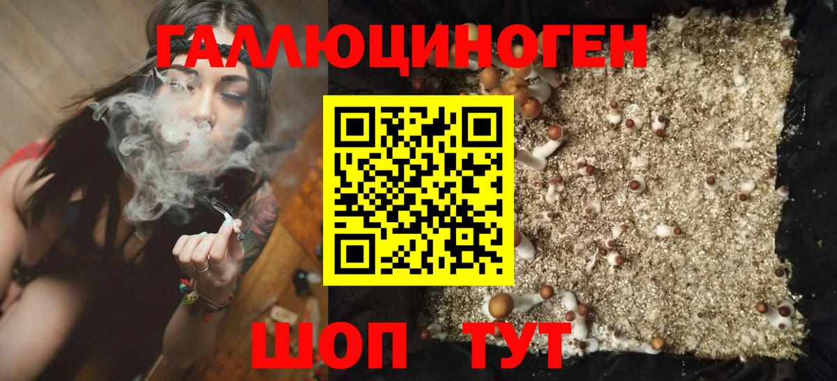 Псилоцибиновые грибы Psilocybe  Галлюциногенные грибы Magic Shrooms  Верхний Уфалей  купить закладку  Вход с VPN 